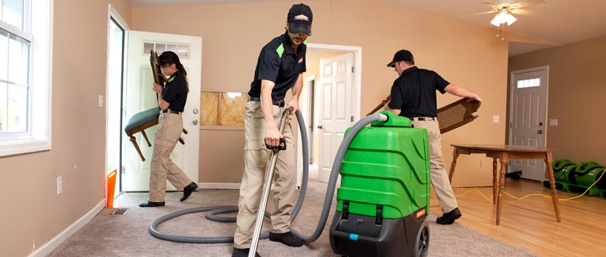 Owosso, MI cleaning services